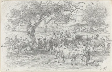 Bergers et bétail