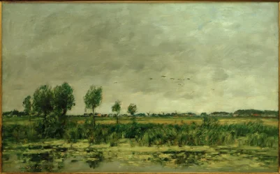Lande près de Honfleur