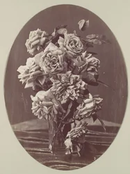 [Roses], vers 1875