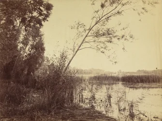 Marais de Fampoux, début des années 1860 (photo)