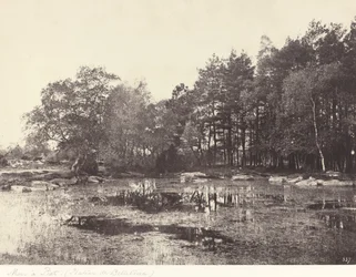 Marais à Piat (Plateau de Belle-Croix)