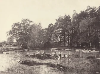 Marais au Plateau de Piat Belle-Croix, vers 1863