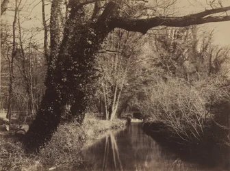 Parc de Courances,late 1850s (photo)