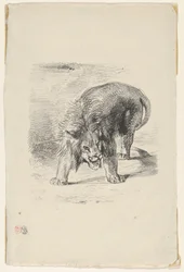 Lion Debout, 1833