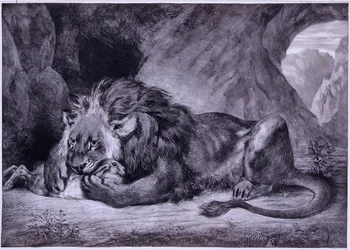 Lion de l