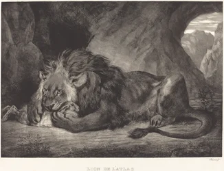 Lion de l