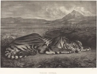 Tigre royal, 1829