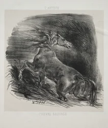 Le Cheval sauvage, ou Cheval effrayé quittant l