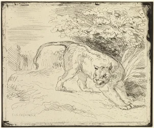 Le tigre prêt pour le printemps