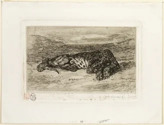 Tigre se reposant dans le désert