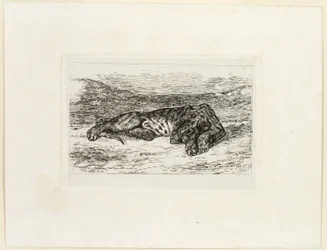 Tigre se Reposant dans le Désert
