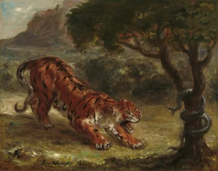 Tigre et serpent