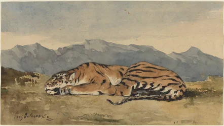 Tigre, vers 1830