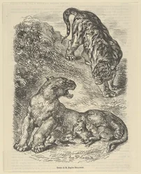 Tigresse attaquée par un tigre en allaitant ses petits, 1853