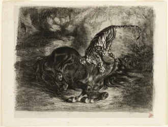Cheval sauvage abattu par un tigre