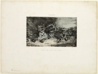 Jeune Tigre Jouant avec sa Mère