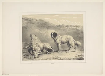 Trois chiens