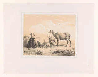Chèvre, mouton et deux agneaux