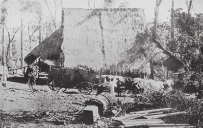 Brésil : A Mate Camp, Parana (photo n/b)