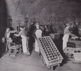 Caves de champagne (photo n/b)