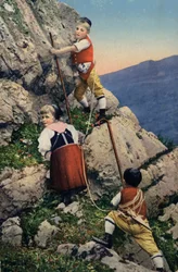 Enfants grimpant dans les Alpes