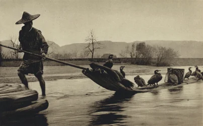 Chine, pêche aux cormorans
