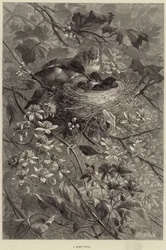 Un cercle familial (gravure)