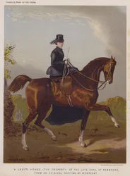 Le cheval d