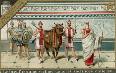 Vaches dans la Rome antique