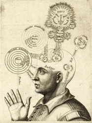 Diagramme de la pensée humaine et des quatre sens, vers 1650