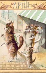 Carte postale humoristique sur les chats (lithographie couleur)