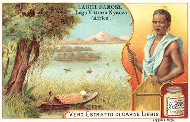 Lac Victoria, Afrique