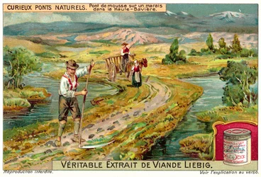 Pont de mousse dans un marais en Haute-Bavière