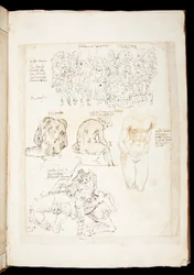 Ms 701 fl.34v, Dessin incluant une vue du Spinario de dos, fin du 15ème siècle