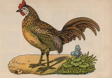 Page du Livre Magique (lithographie en couleur)