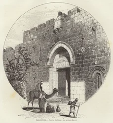 Palestine, Porte de Sion ou du prophète David