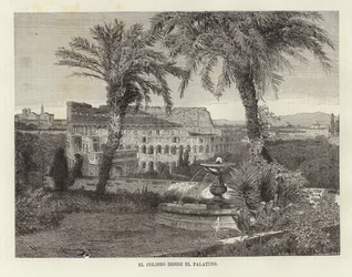 Le Colisée depuis le Palatin