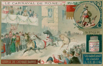 La Course des chevaux sauvages