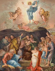 La Transfiguration