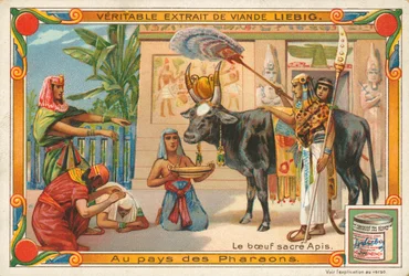 Le taureau sacré Apis, carte Liebig, début du 20e siècle