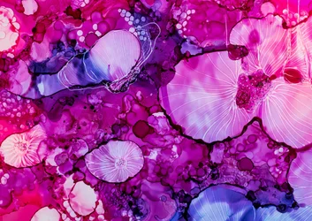 Des fleurs aux couleurs éclatantes