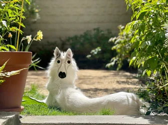 Backwards Dog Brooklyn (art numérique)