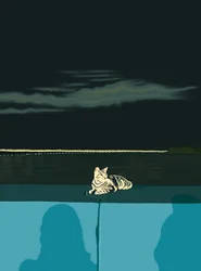 Chat sur le mur, Panama City, vers 2020-24 (art numérique)