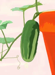 Concombre en pot, Brooklyn (art numérique)