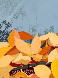 Feuilles de cerisier tombées sur le pare-brise d