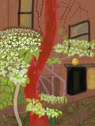 Cornouiller fleuri, 2015 (dessiné à la main sur un iPad avec un crayon Apple)