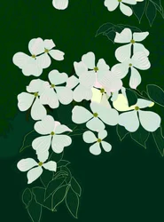 Cornouiller fleuri, c.2020-24 (art numérique)