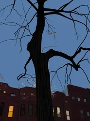 Maisons et arbre la nuit, Brooklyn. (art numérique)