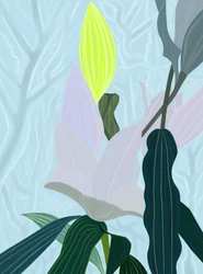 Lily (art numérique)