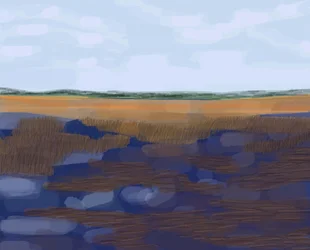 Low Country, 2016 (dessiné à la main sur un iPad avec un crayon Apple)